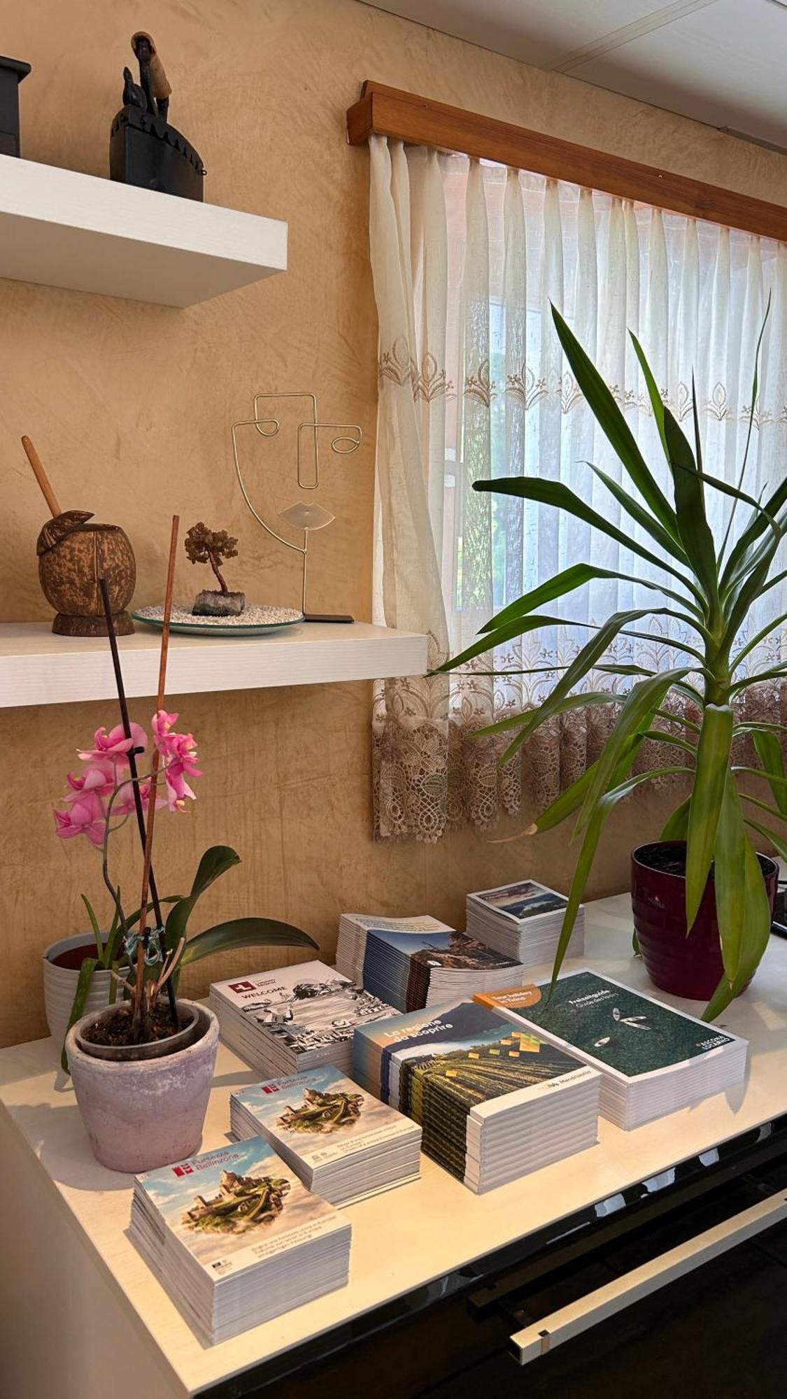 A Hilarious Hideaway In Roveredo Apartment Exterior photo